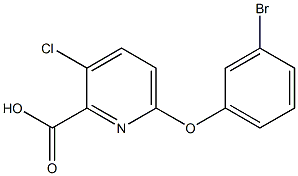 6-(3-bromophenoxy)-3-chloropyridine-2-carboxylic acid Struktur