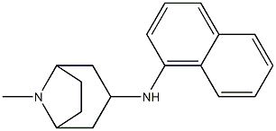 8-methyl-N-(naphthalen-1-yl)-8-azabicyclo[3.2.1]octan-3-amine Struktur