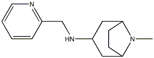 8-methyl-N-(pyridin-2-ylmethyl)-8-azabicyclo[3.2.1]octan-3-amine Struktur