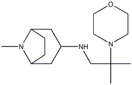 8-methyl-N-[2-methyl-2-(morpholin-4-yl)propyl]-8-azabicyclo[3.2.1]octan-3-amine Struktur