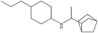 N-(1-{bicyclo[2.2.1]heptan-2-yl}ethyl)-4-propylcyclohexan-1-amine Struktur