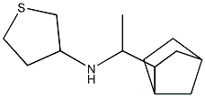 N-(1-{bicyclo[2.2.1]heptan-2-yl}ethyl)thiolan-3-amine Struktur