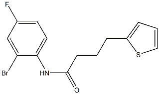 N-(2-bromo-4-fluorophenyl)-4-(thiophen-2-yl)butanamide Struktur