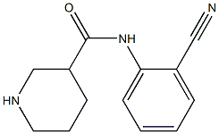 N-(2-cyanophenyl)piperidine-3-carboxamide Struktur