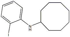 N-(2-iodophenyl)cyclooctanamine Struktur