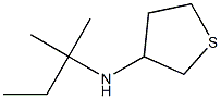 N-(2-methylbutan-2-yl)thiolan-3-amine Struktur