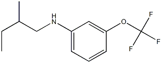 N-(2-methylbutyl)-3-(trifluoromethoxy)aniline Struktur