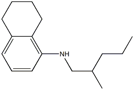 N-(2-methylpentyl)-5,6,7,8-tetrahydronaphthalen-1-amine Struktur