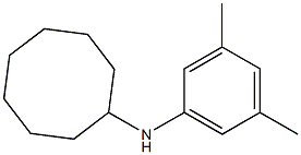 N-(3,5-dimethylphenyl)cyclooctanamine Struktur