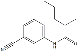 N-(3-cyanophenyl)-2-methylpentanamide Struktur