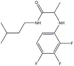 N-(3-methylbutyl)-2-[(2,3,4-trifluorophenyl)amino]propanamide Struktur