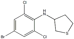 N-(4-bromo-2,6-dichlorophenyl)thiolan-3-amine Struktur