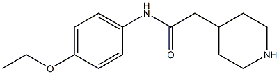 N-(4-ethoxyphenyl)-2-piperidin-4-ylacetamide Struktur