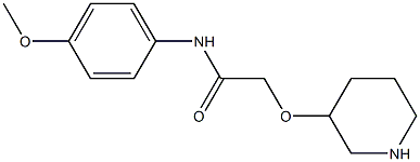 N-(4-methoxyphenyl)-2-(piperidin-3-yloxy)acetamide Struktur