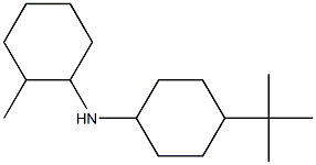 N-(4-tert-butylcyclohexyl)-2-methylcyclohexan-1-amine Struktur