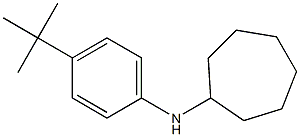 N-(4-tert-butylphenyl)cycloheptanamine Struktur