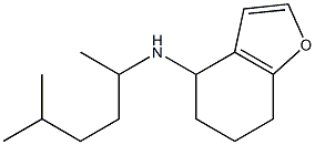 N-(5-methylhexan-2-yl)-4,5,6,7-tetrahydro-1-benzofuran-4-amine Struktur