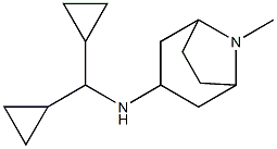 N-(dicyclopropylmethyl)-8-methyl-8-azabicyclo[3.2.1]octan-3-amine Struktur