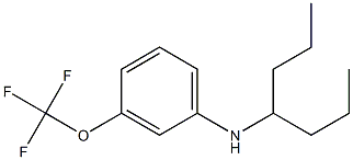 N-(heptan-4-yl)-3-(trifluoromethoxy)aniline Struktur