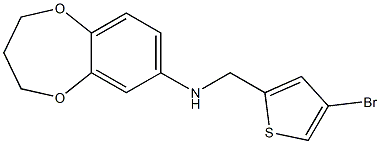 N-[(4-bromothiophen-2-yl)methyl]-3,4-dihydro-2H-1,5-benzodioxepin-7-amine Struktur