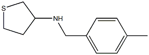 N-[(4-methylphenyl)methyl]thiolan-3-amine Struktur