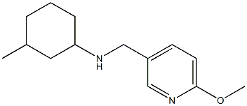 N-[(6-methoxypyridin-3-yl)methyl]-3-methylcyclohexan-1-amine Struktur