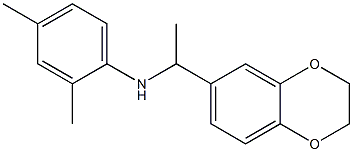 N-[1-(2,3-dihydro-1,4-benzodioxin-6-yl)ethyl]-2,4-dimethylaniline Struktur