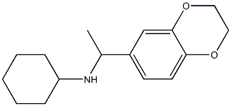 N-[1-(2,3-dihydro-1,4-benzodioxin-6-yl)ethyl]cyclohexanamine Struktur