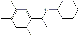 N-[1-(2,4,5-trimethylphenyl)ethyl]cyclohexanamine Struktur