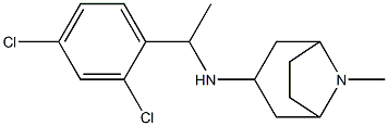 N-[1-(2,4-dichlorophenyl)ethyl]-8-methyl-8-azabicyclo[3.2.1]octan-3-amine Struktur