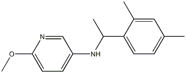 N-[1-(2,4-dimethylphenyl)ethyl]-6-methoxypyridin-3-amine Struktur