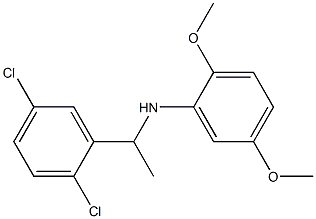 N-[1-(2,5-dichlorophenyl)ethyl]-2,5-dimethoxyaniline Struktur