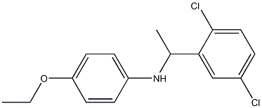 N-[1-(2,5-dichlorophenyl)ethyl]-4-ethoxyaniline Struktur