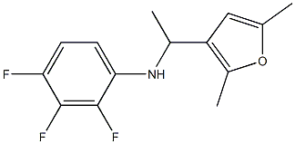 N-[1-(2,5-dimethylfuran-3-yl)ethyl]-2,3,4-trifluoroaniline Struktur