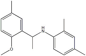 N-[1-(2-methoxy-5-methylphenyl)ethyl]-2,4-dimethylaniline Struktur