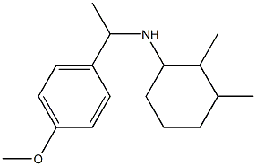 N-[1-(4-methoxyphenyl)ethyl]-2,3-dimethylcyclohexan-1-amine Struktur