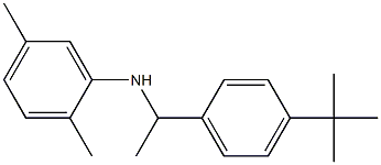 N-[1-(4-tert-butylphenyl)ethyl]-2,5-dimethylaniline Struktur