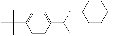 N-[1-(4-tert-butylphenyl)ethyl]-4-methylcyclohexan-1-amine Struktur