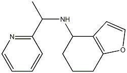 N-[1-(pyridin-2-yl)ethyl]-4,5,6,7-tetrahydro-1-benzofuran-4-amine Struktur