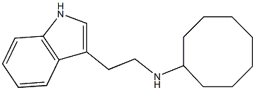 N-[2-(1H-indol-3-yl)ethyl]cyclooctanamine Struktur