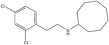 N-[2-(2,4-dichlorophenyl)ethyl]cyclooctanamine Struktur