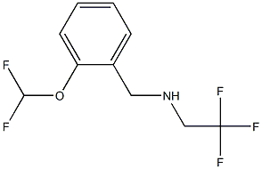 N-[2-(difluoromethoxy)benzyl]-N-(2,2,2-trifluoroethyl)amine Struktur