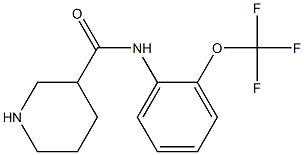 N-[2-(trifluoromethoxy)phenyl]piperidine-3-carboxamide Struktur