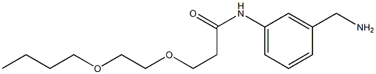 N-[3-(aminomethyl)phenyl]-3-(2-butoxyethoxy)propanamide Struktur