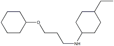 N-[3-(cyclohexyloxy)propyl]-4-ethylcyclohexan-1-amine Struktur