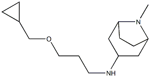 N-[3-(cyclopropylmethoxy)propyl]-8-methyl-8-azabicyclo[3.2.1]octan-3-amine Struktur