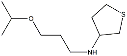 N-[3-(propan-2-yloxy)propyl]thiolan-3-amine Struktur