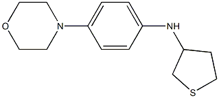 N-[4-(morpholin-4-yl)phenyl]thiolan-3-amine Struktur