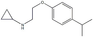 N-{2-[4-(propan-2-yl)phenoxy]ethyl}cyclopropanamine Struktur