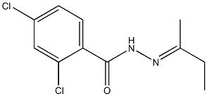 2,4-dichloro-N'-[(E)-1-methylpropylidene]benzohydrazide Struktur